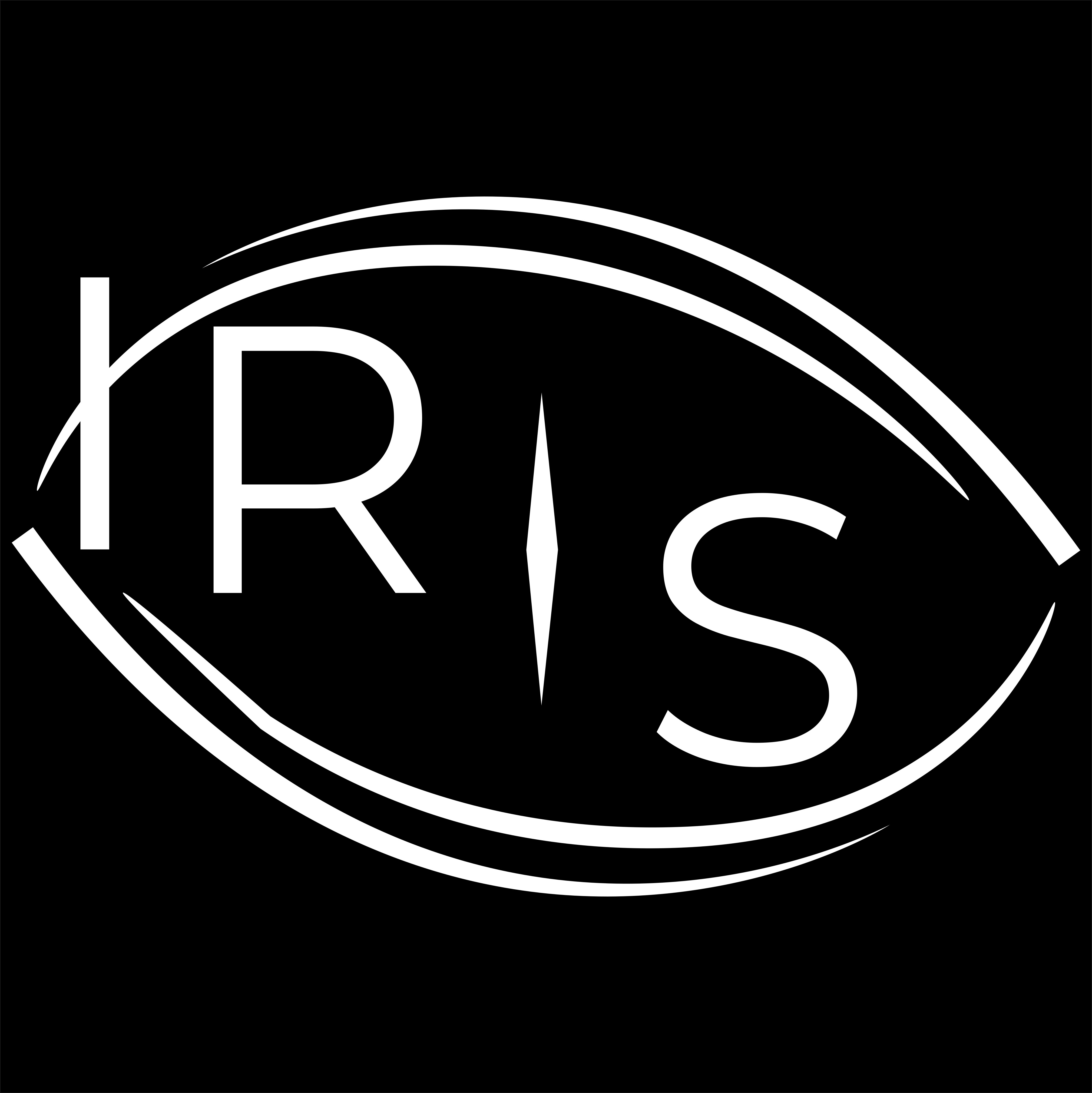 Logo IRiS
