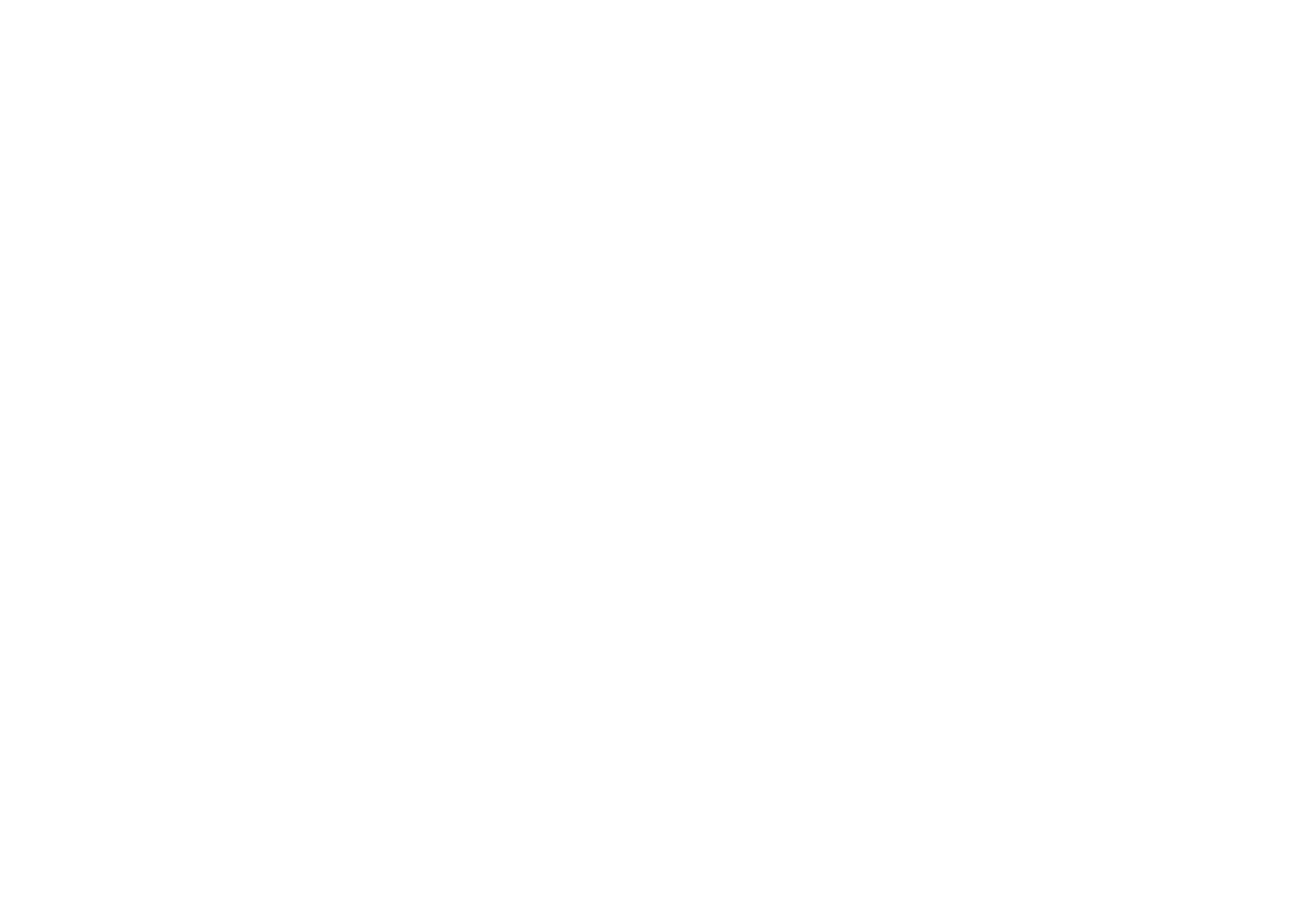 Logo IRiS